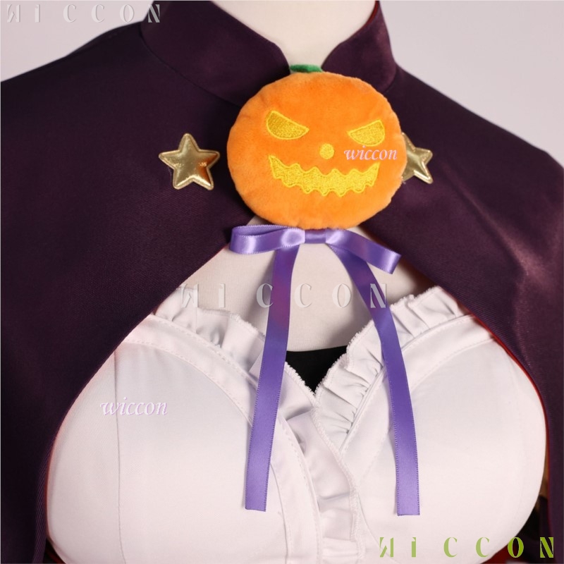 Halloween Adults Cos Re life I - огляд і ціна Re Zero Rem Wig